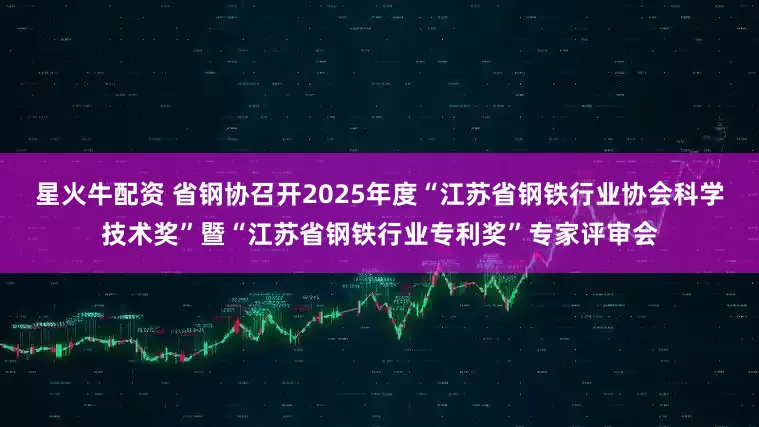星火牛配资 省钢协召开2025年度“江苏省钢铁行业协会科学技术奖”暨“江苏省钢铁行业专利奖”专家评审会